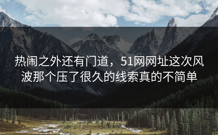 热闹之外还有门道，51网网址这次风波那个压了很久的线索真的不简单