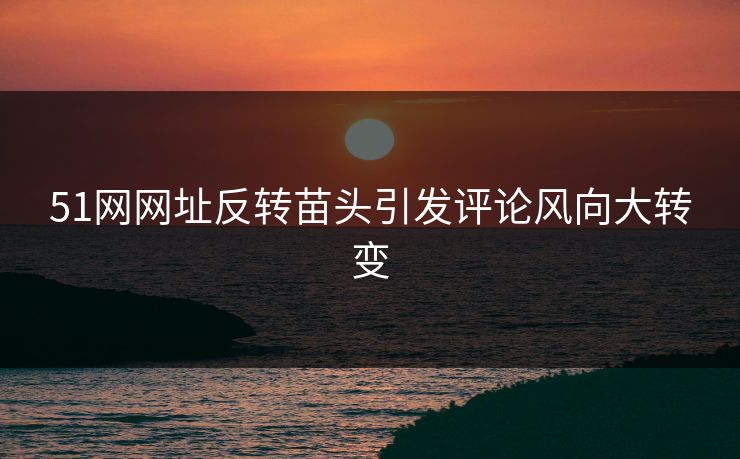 51网网址反转苗头引发评论风向大转变