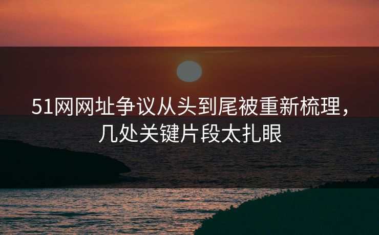 51网网址争议从头到尾被重新梳理，几处关键片段太扎眼