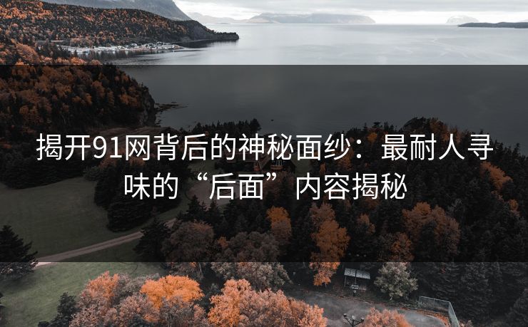 揭开91网背后的神秘面纱：最耐人寻味的“后面”内容揭秘